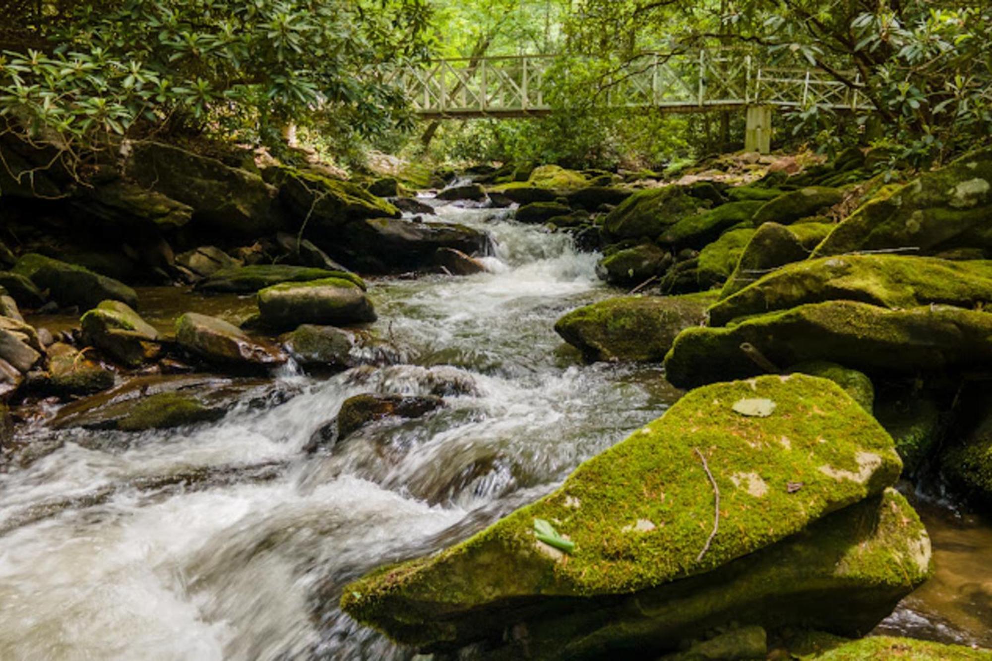Creel Lodge At Middle Creek Otto المظهر الخارجي الصورة